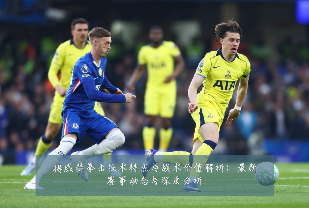 梅威瑟拳击技术特点与战术价值解析:最新赛事动态与深度分析